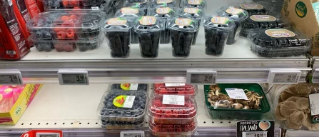 Aggressive prices for blackberries and blueberries in Piacenza, while raspberries and currants are struggling-image