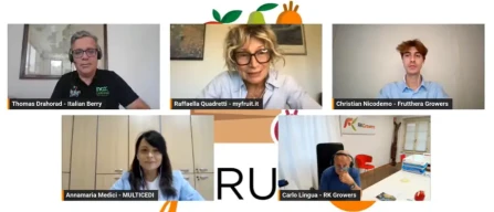 Webinar Berry Trend 2026: the full video-image