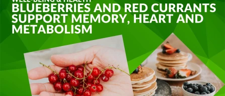 Berries and health: blueberries and currants support memory, heart and metabolism-image