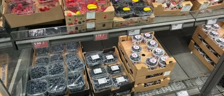 Berries in Milan: scarce blueberries and high prices, more blackberry and raspberry deals in stores-image