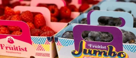 Da Agrovision a Fruitist: nuova identità per conquistare il mercato mondiale dei berries-image