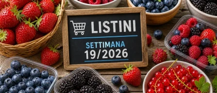 GDO online Italia: prezzi berries in aumento, lampone +6% e mirtillo guida l’assortimento totale-image