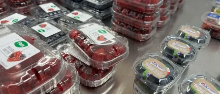 Prezzi in calo per more e lamponi nella GDO italiana nella settimana 11/2025-image