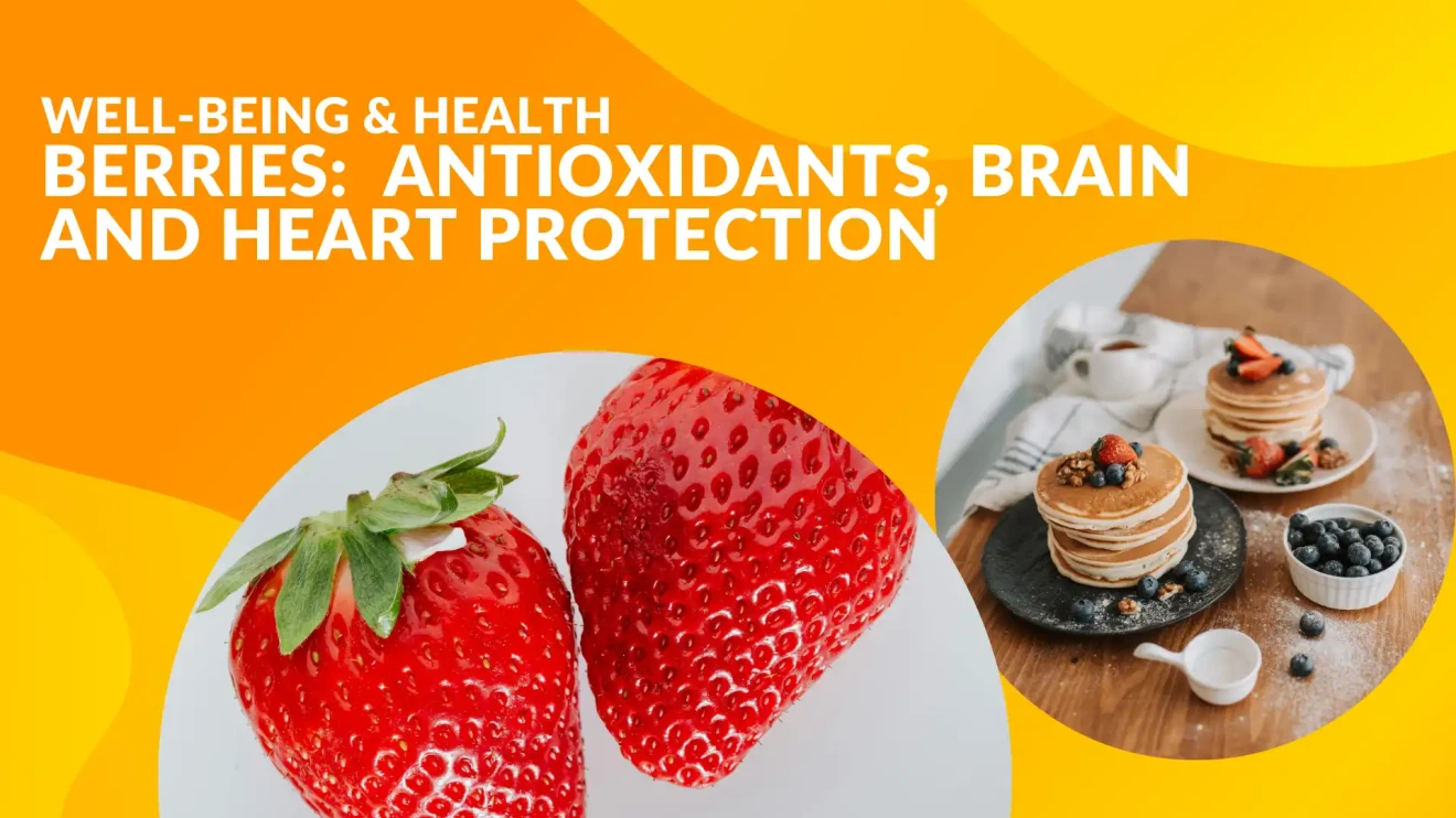 Health benefits of berries: antioxidants, brain and heart protection, metabolism and gut health-image