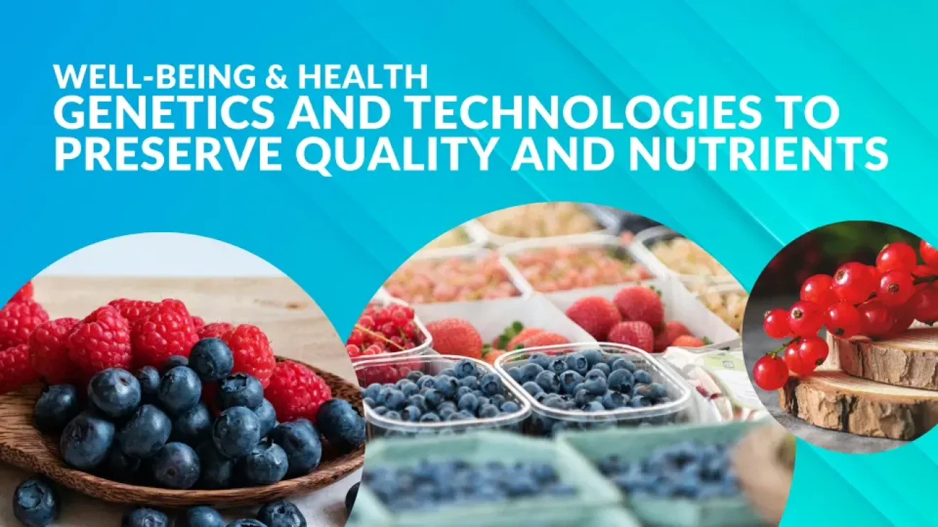 Berries and health: genetics and technologies to preserve quality and nutrients-image
