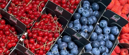 Currants drag up the Italian berry price index in week 18/2024-image