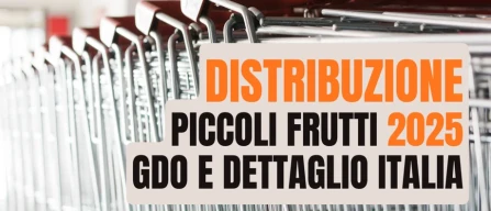 Piccoli frutti: gli italiani preferiscono supermercati e discount-image