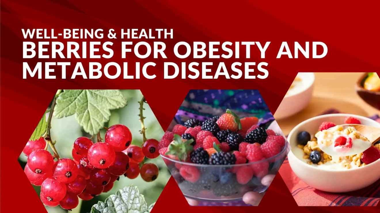 Berries and obesity: how natural compounds fight metabolic diseases with proven health benefits-image
