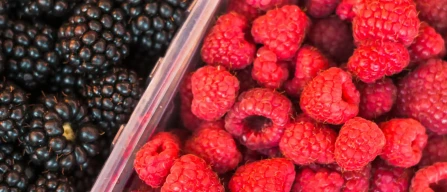 Berries in week 22/2025 Italian e-commerce: blueberries and raspberries fall, blackberries rise-image