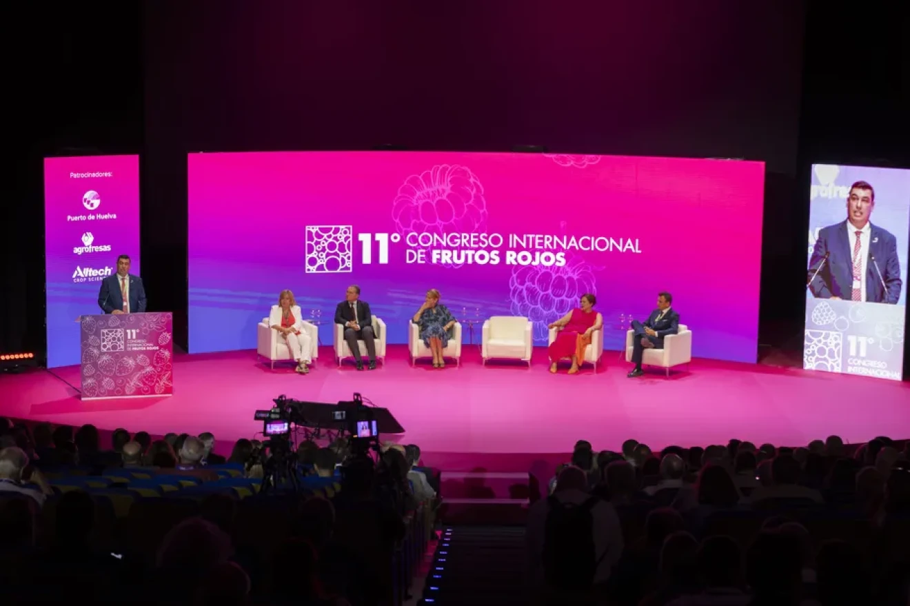 Congreso Internacional de Frutos Rojos: Huelva confirms its central role-image