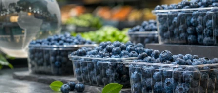 Global blueberry price index rises 0.8%, with organic segment leading gains at 3.3% this week-image
