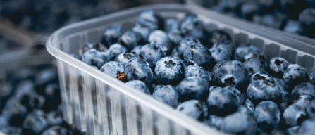 Peruvian blueberries 2026/27: exports revised downwards to 366,000 tonnes-image