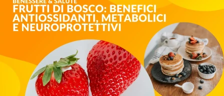 Frutti di bosco: benefici antiossidanti, metabolici e neuroprotettivi confermati dalla scienza-image