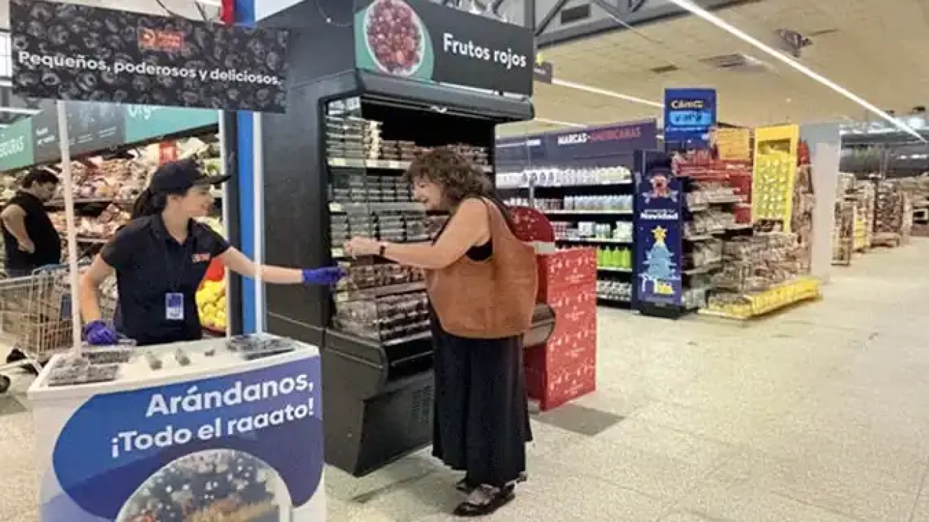 Chile launches blueberry campaign to boost domestic consumption of its national superfood-image