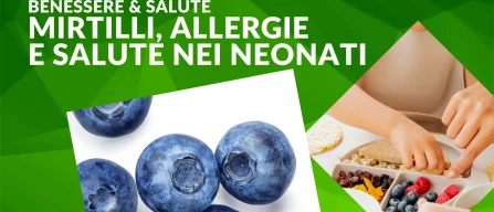 Infants and blueberries: a natural ally against allergies in the early months of complementary feeding-image