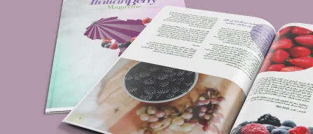 Italian Berry Magazine – Morocco Berry Conference Edition: a journey through the Africa shaping the future of berries-image