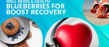 Blueberries reduce inflammation and boost recovery-image
