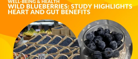 Wild blueberries and health: Florida State University study highlights heart and gut benefits-image
