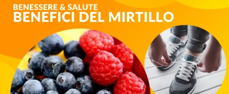 Mirtillo: nuove prospettive scientifiche sui benefici per la salute nel mondo dei frutti di bosco
