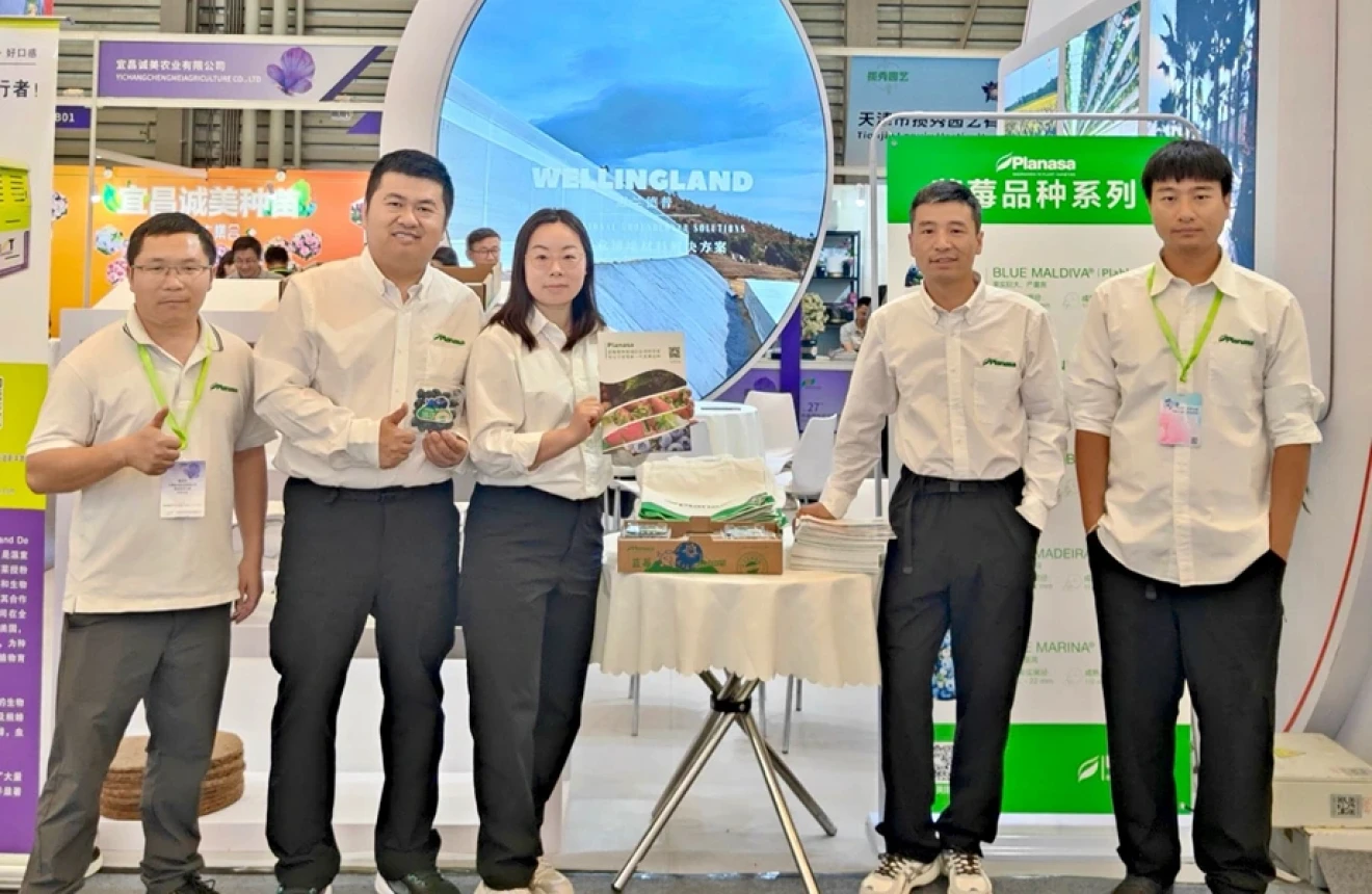 Planasa, record ruling in China: 'zero tolerance' against variety violations-image