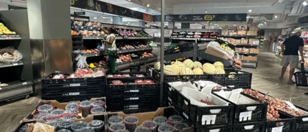 Modena berry prices range from €10.57 to €23.18 per kilo across 16 supermarkets and 12 groups-image