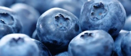 BerryWorld and Tropic Cool partner to launch Rwanda Berries-image