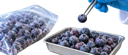 GreenWise frozen blueberries: Publix sued following woman’s death-image