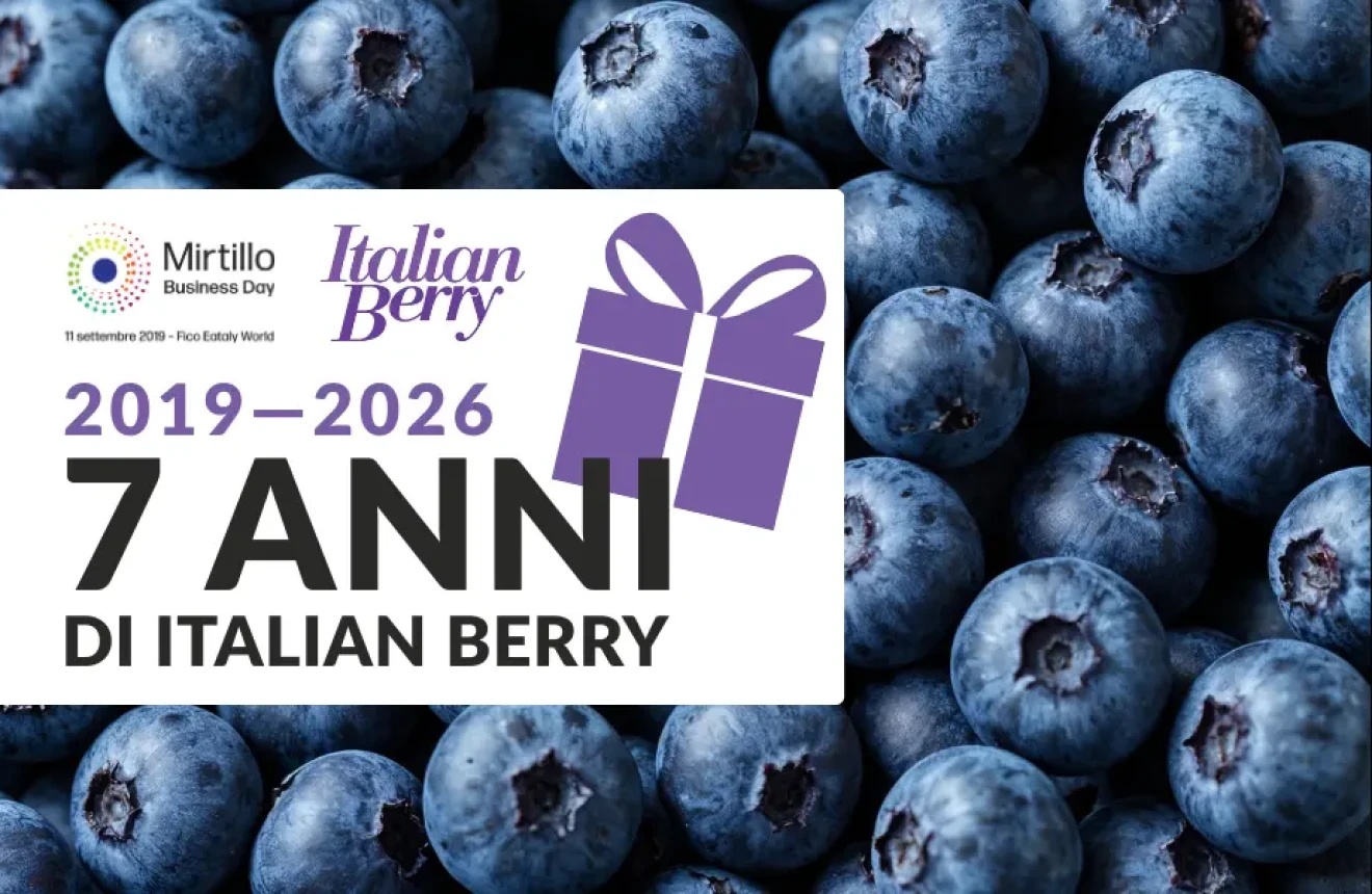 Sette anni di Italian Berry: un regalo per i nostri lettori-image