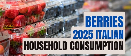 Berry boom in Italy continues in 2025: spending +35% and volumes +41%, according to YouGov – Italian Berry-image