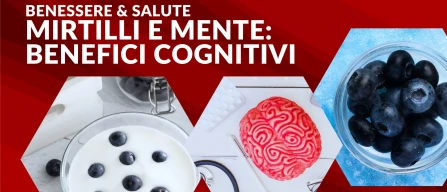 Mirtilli e mente: i benefici cognitivi a ogni età-image