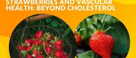 Fragole e salute vascolare: lo studio che guarda oltre il colesterolo-image