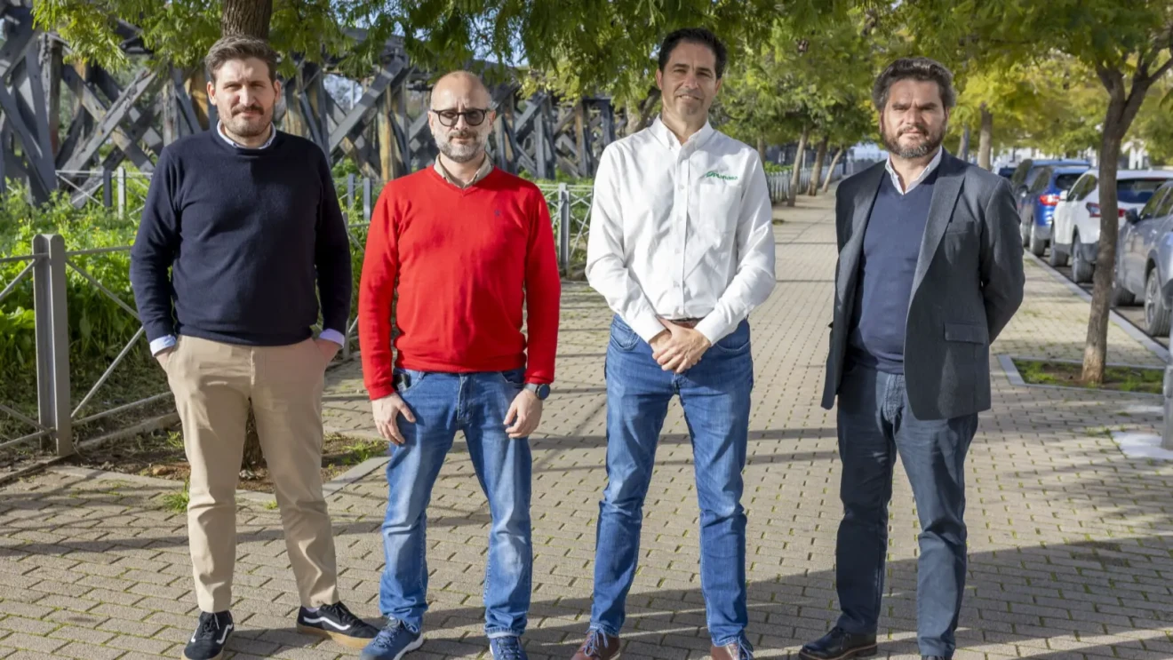 Huelva strawberries: too many varieties risk productivity and demand stricter breeding-image