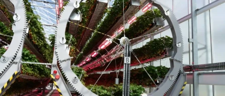 From vacuums to hi-tech starwberries: Dyson hits +250% in the UK-image