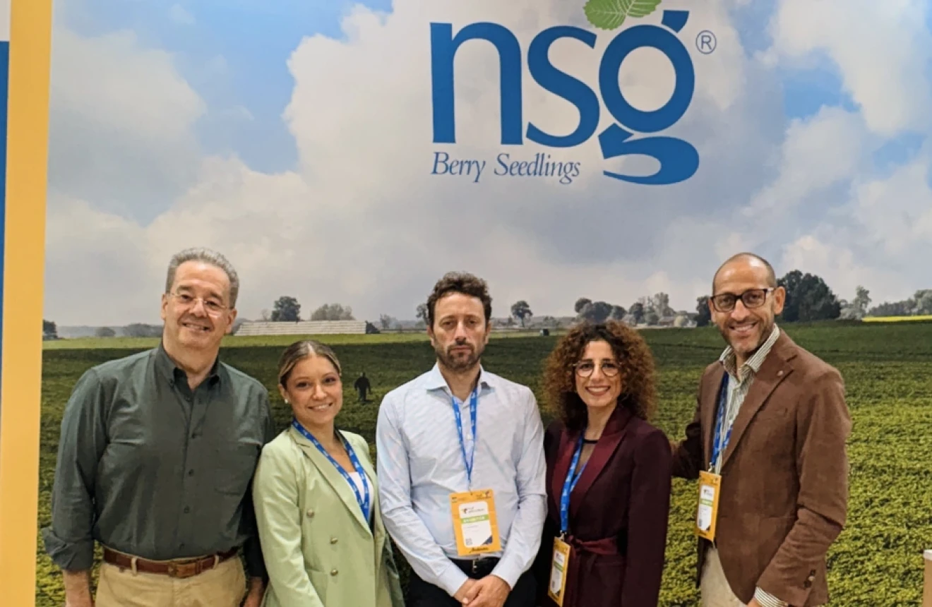 NSG presents Elyson® at Fruit Attraction: from research to the strawberry market-image