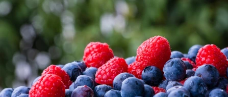 Fall Creek entra nei lamponi con l'acquisizione delle italiane Berrytech e Berryplant-image