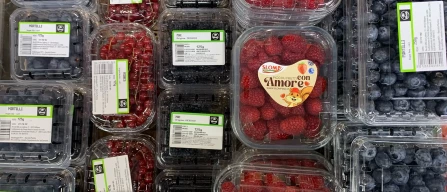Chilean blueberries boosting promotions in supermarkets in the Genoa area-image