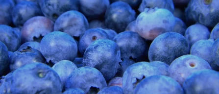 Blueberries overtake apples in Ukrainian exports-image