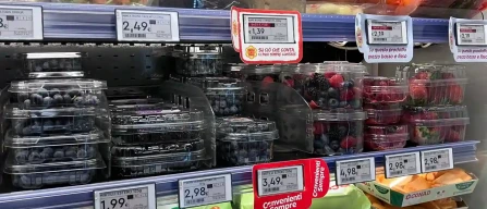 Milan retail: berry prices rise amid shortages and growing foreign supply-image