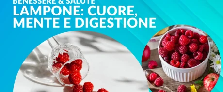 Benefici del lampone per cuore, mente e digestione