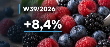 Online berry market in Italy: red currants +8.4% and price index up 1.8% in week 39 of 2026-image