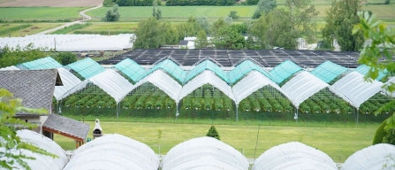 Sant'Orsola's new 'Trentino greenhouse' is the future for environment and growers-image