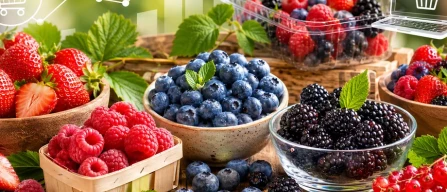 GDO online in Italia: prezzi dei piccoli frutti in rialzo nella settimana 24/2026 con lamponi a +15%-image