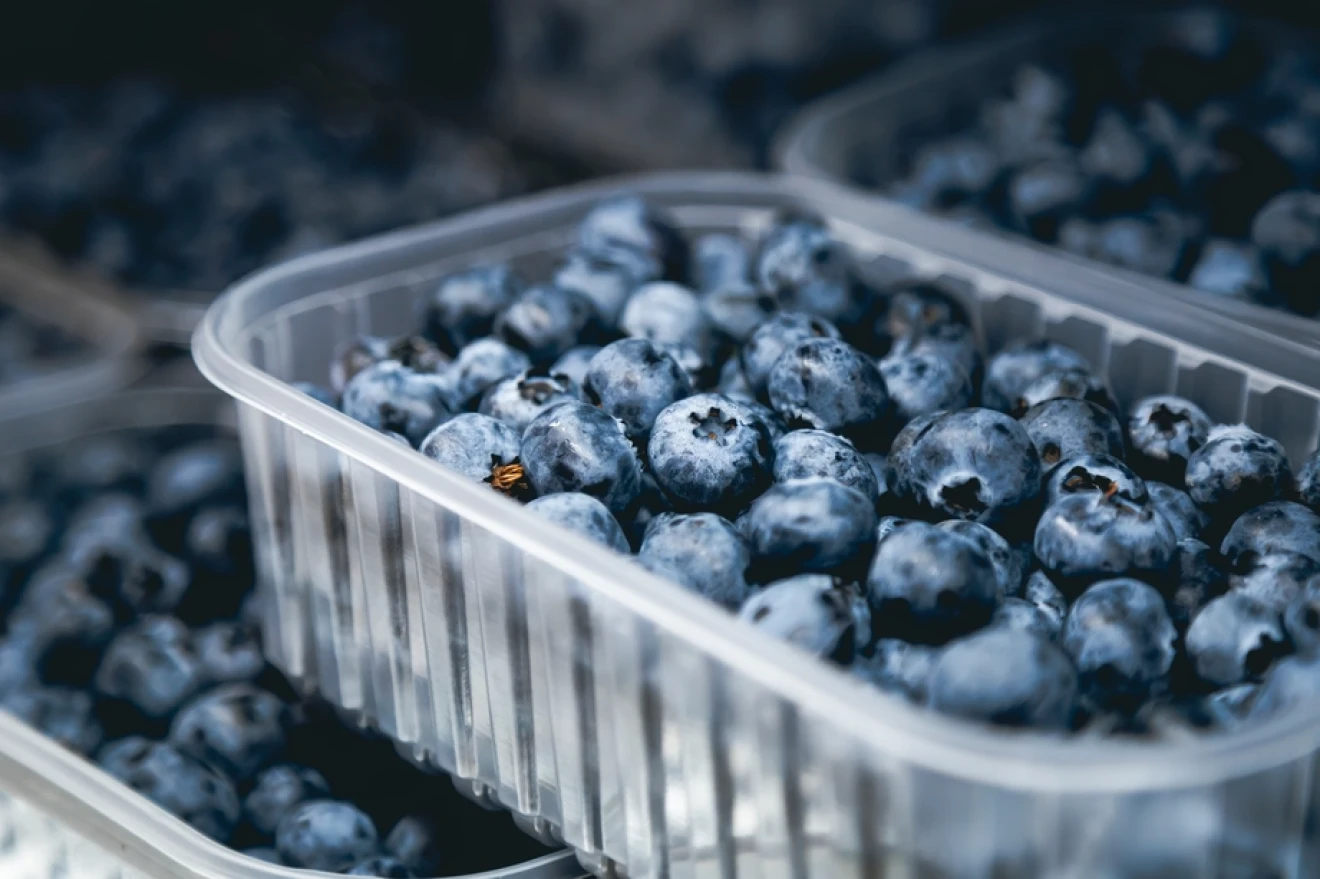 Mirtilli Perù 2026/27: export rivisto al ribasso a 366 mila tonnellate-image
