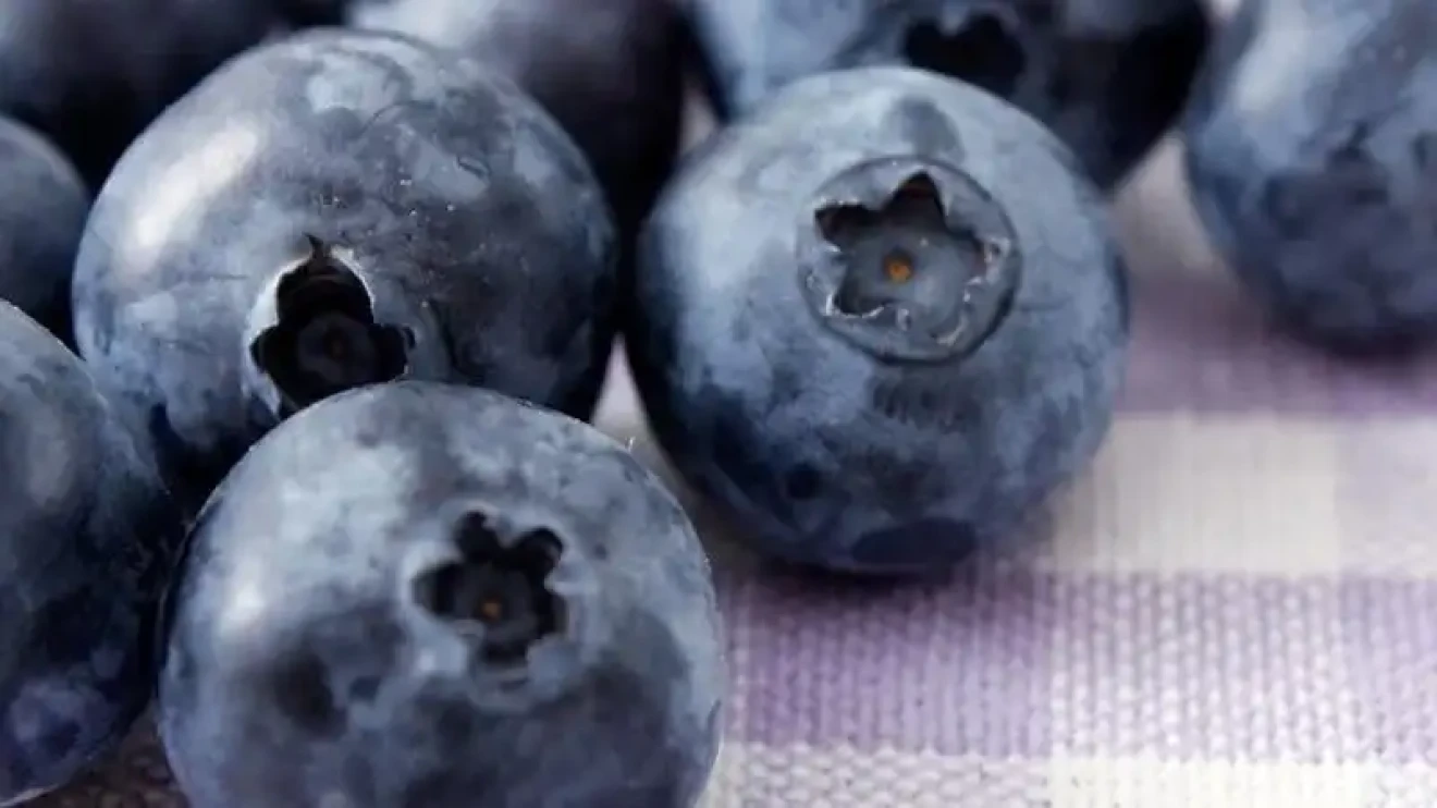 Cresce il mirtillo in Cina: +35% produzione e qualità top dallo Yunnan alle vendite online-image