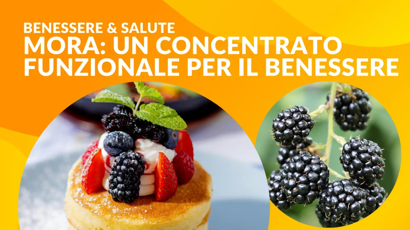 Mora: un concentrato funzionale per il benessere con antiossidanti e vitamine-image