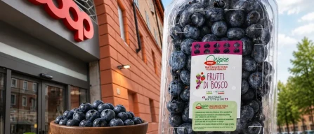 Mirtilli, Coop cresce del 42% e pesa circa l’8% del mercato italiano-image