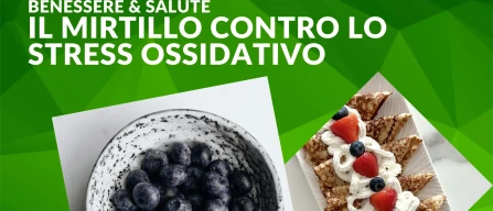 Mirtillo e stress ossidativo: nuove evidenze sul ruolo immunitario-image