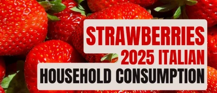 Strawberries: steady, sustained growth pushes Italian household spending up to €19 million-image