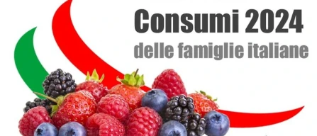 Oltre 232 milioni di euro la spesa delle famiglie italiane per i piccoli frutti nel 2024 (+14,9%)-image