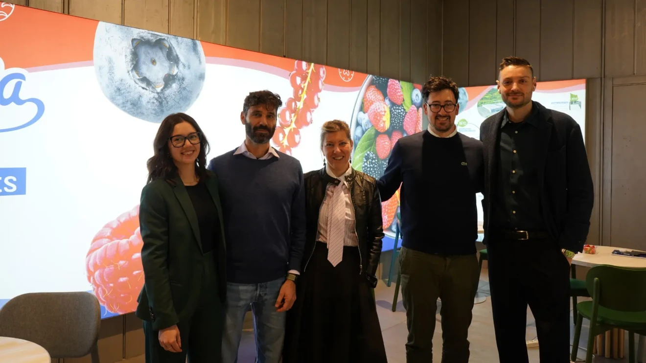 3 new Sant'Orsola raspberry varieties showcased at Fruit Logistica 2026 in Berlin-image